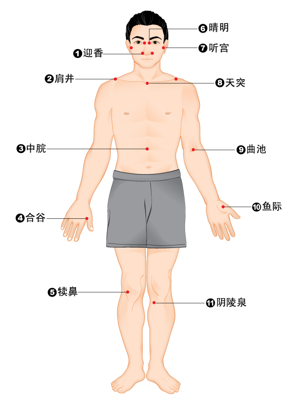 身体穴位